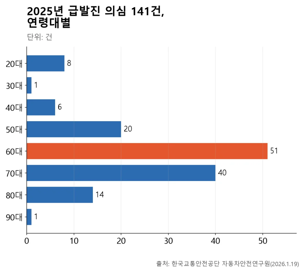 60대와 70대가 각각 51건, 40건으로 가장 높은 막대그래프