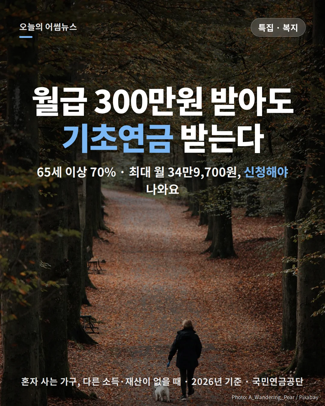 2026 기초연금 수급 자격·금액 총정리: 최대 34만9,700원, 2027년 차등 지급